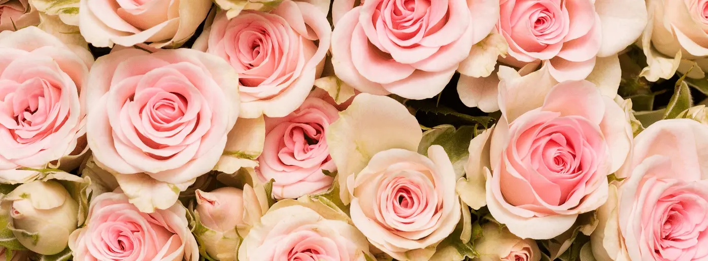 rose garden floral studio logo